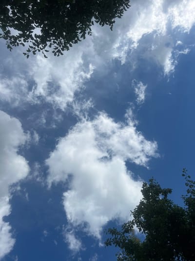 The image shows a low-angle view of a blue sky filled with scattered white clouds. Dark green tree branches and leaves frame the top and bottom right corners of the sky. The overall scene appears to be an outdoor environment. There are no people or specific objects identifiable within the scene that would allow for precise location identification in Afanasyevo, Russia.