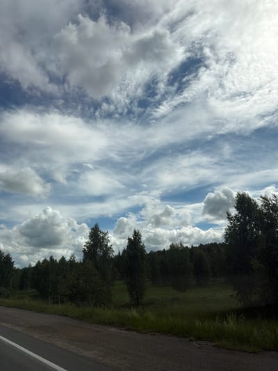 The image depicts a rural landscape scene, likely taken near Poletaevo 1th, Russia, under a dynamic sky. A paved road with a white line runs along the bottom left of the frame, bordering a grassy verge. Beyond the verge lies a field of tall green grass, transitioning into a dense line of dark green deciduous trees forming the treeline of a forest. The sky is a dominant feature, filled with a mix of large, puffy white cumulus clouds and wispy cirrus clouds, against a backdrop of bright blue sky. The overall impression is of a natural, undeveloped area on a cloudy day.