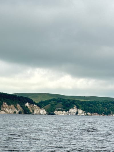 The image depicts a scenic view of the Volga River in Tenishevo, Russia. The foreground is dominated by the choppy, gray waters of the river, reflecting the overcast sky. The middle ground features a dramatic cliff face, characterized by its light-colored, layered rock formations and dotted with dark green trees that cling to its slopes. Beyond the cliffs, rolling green hills stretch towards the horizon, interspersed with patches of dark forest. A faint dirt path is visible winding its way up one of the hills. The sky above is a uniform, muted gray, suggesting cloudy weather. No people or specific objects are readily discernible in the scene beyond the natural landscape.