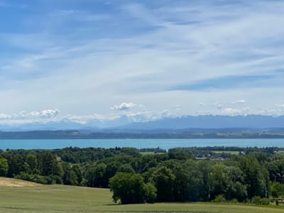 The image is a wide, landscape shot taken from a high vantage point in Boudry, Switzerland, overlooking Lake Neuchâtel and the distant Jura Mountains. In the foreground, a field of green crops is visible, sloping downwards. Behind this field, a dense line of lush green trees forms a natural border. Beyond the trees, the turquoise waters of Lake Neuchâtel stretch across the middle ground. Sailboats are scattered across the lake's surface. In the background, a range of layered mountains, tinged blue with distance and snow-capped at their peaks, forms the horizon. The sky above is a light blue, with wispy white clouds scattered across it. The scene depicts a serene, natural landscape bathed in daylight.