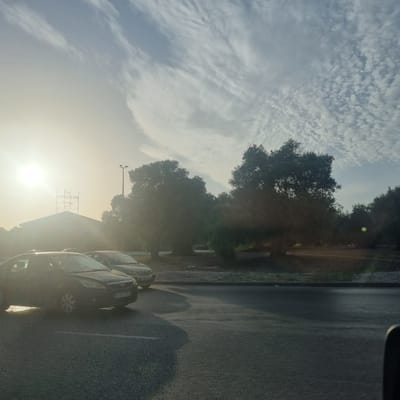 This media file captures an outdoor scene in Jerez de la Frontera, Spain, during what appears to be either sunrise or sunset due to the low angle of the sun and the hazy, golden light. The sky is filled with wispy clouds, some appearing delicate and feathery, while others are more textured and textured, suggesting a dynamic weather pattern.
In the foreground, two cars are parked on an asphalt surface, possibly a parking lot or a roadside. The car on the left is dark-colored and its license plate is partially visible, reading "0483 GCL". The car to its right is lighter in color, and its license plate also shows some characters. The road surface shows signs of wear and some puddles or damp patches.
Further back, several large trees with dense foliage dominate the midground, casting long shadows. One tree, in particular, appears to be quite old and substantial. Behind the trees, a building with a distinctive sign is visible. The sign, illuminated by the bright sun, reads "FINE SAN PATRICIO DISTILLERY". A street light stands near the building. The overall impression is of a tranquil, perhaps early morning or late evening setting, with a blend of natural elements and man-made structures. The haziness from the sun gives the scene a soft, diffused quality.