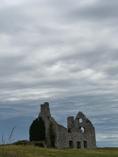 The image shows the ruins of a stone building, likely an old house or castle, set against a cloudy sky. The structure is partially covered in ivy and appears to be in disrepair, with missing sections of wall and roof. In the foreground, there is a field of tall grass. The scene is desolate and evokes a sense of history and abandonment. The location is identified as Castledermot, Ireland. There are no people or animals visible in the image.