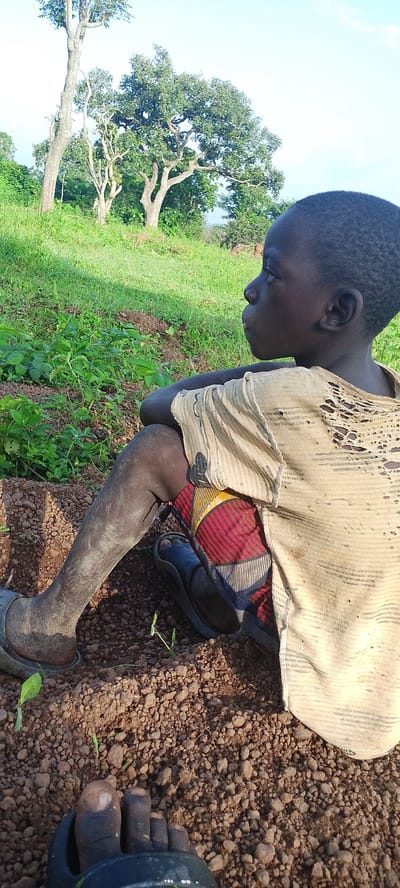 The image shows a young boy sitting on the ground in a rural area, likely outside of Kamantan, Nigeria. The boy is wearing a torn, light-colored shirt and patterned shorts. His legs are dusty, and he is wearing dark sandals. The ground is covered in reddish-brown soil and small stones, with some green plants growing in patches. In the background, there is lush green vegetation and several trees with full canopies. The sky is clear and pale blue. The scene appears to be a natural outdoor environment, possibly a field or garden.