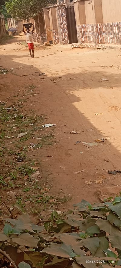 At 11:01 on March 12, 2025, in Abagana, Nigeria, a young individual walks away from the camera on a reddish-brown dirt path. The person, barefoot and wearing a light-colored top with red shorts, carries a dark circular basin on their head, supported by both hands.
The unpaved path is marked with depressions, possibly from vehicle tires, and is littered with scattered debris including paper, plastic, and dried leaves. Sparse green vegetation grows along the edges of the path, with prominent broad, green leaves in the immediate foreground.
To the right, a series of light-brown buildings or walls line the path. These structures feature a decorative pattern of vertical rectangular tiles in shades of brown on their lower sections, with solid lighter-colored walls above. A dark gate is visible on one of these structures. To the left, further down the path, dense green foliage and less distinct structures are visible. A dark umbrella structure, possibly for shade, is present in the distant background on the left. Strong sunlight illuminates the scene, casting distinct shadows on the ground.