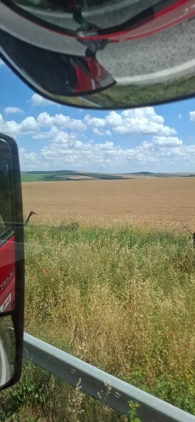 A roadside view shows a golden field of ripe grain under a partly cloudy blue sky. In the foreground, tall grasses and some red poppies grow alongside a metal guardrail. A black post is visible near the field's edge. To the left, a red vehicle's side mirror reflects the road and sky. The scene appears to be in or near Ovcha Mogila, Bulgaria, consistent with rural landscapes common in the region during harvest season. No people are visible.