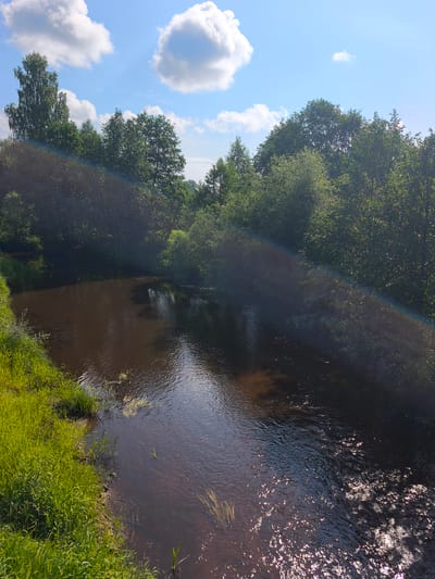 The image depicts a natural scene with a body of dark water in the foreground, bordered by lush green grass and reeds on the left bank. Dense green trees line the opposite bank and extend into the background, creating a shaded forest environment. The sky above is blue with scattered white clouds, and a faint rainbow arc is visible extending across the scene from the left to the right, passing over the water and trees. The sun is bright, casting reflections on the water's surface. There are no people or man-made structures visible. The location is identified as Kady, Russia.