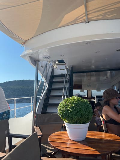 The image depicts a view from a boat or yacht, anchored near a hilly coastline. A large, lush green potted plant sits on a wooden table in the foreground, partially obscuring the view of people seated at the table. A woman wearing a hat is visible on the right, and a young child is partially visible behind her. Stairs leading to an upper deck are visible on the left, along with chrome railings and a beige awning extending overhead. The blue sea and green hills under a clear blue sky suggest a sunny day in a coastal location. Based on the context, this scene is likely from the city of Skopelos, Greece.