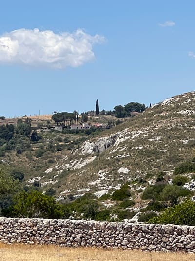 The image depicts a sun-drenched hillside in the city of Noto, Italy, under a clear blue sky with a single fluffy white cloud. In the foreground, a low, dry-stone wall made of rough-hewn stones stretches across the frame, with dry, golden grass beyond it. The hillside behind the wall is covered in sparse, dry vegetation and scattered white rocks. Further up the slope, a cluster of buildings with white walls and red-tiled roofs is nestled among trees. A prominent tall, dark, slender tree stands on the far right of this cluster. Above and to the left of the buildings, terraced fields are visible, with some dry, light-colored vegetation. The overall impression is of a rural landscape bathed in strong sunlight.