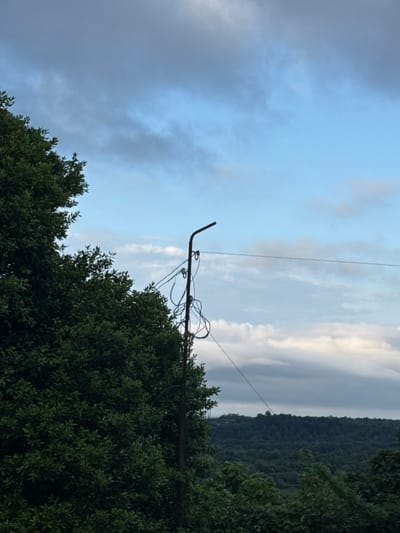 The image depicts a landscape scene in Akydra, Abkhazia, featuring a dense green tree on the left side, partially obscuring a utility pole with tangled wires. The utility pole is positioned in the mid-ground to the right of the tree. In the background, a rolling, tree-covered hill stretches across the horizon under a sky with scattered clouds. The lighting suggests it is either early morning or late afternoon. There are no people or animals visible in the frame.