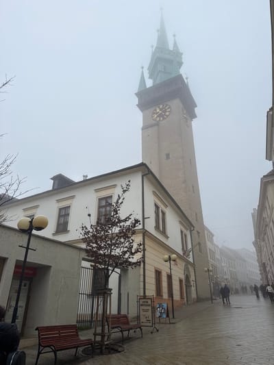 The image displays a street scene in Znojmo, Czechia, characterized by dense fog and an overcast sky. The prominent structure is the Znojmo Town Hall Tower, a tall, light-colored stone edifice featuring a large clock face with golden Roman numerals and hands, indicating approximately 10:10. The tower's upper section, comprising a multi-tiered green spire with smaller turrets, is partially obscured by the fog.

To the immediate left of the tower, a multi-story building with a cream-colored facade and dark-framed rectangular windows is visible. In front of this building, a small deciduous tree with sparse, reddish-brown foliage is anchored by wooden stakes. Two dark brown wooden benches with slatted seats are positioned beneath the tree. The street itself is paved with wet, reflective cobblestones, suggesting damp conditions, and slopes gently upwards from the foreground towards the background.

A double-globe street lamp with yellow spheres stands on the left side of the street, adjacent to an entrance to the cream-colored building. Further down the street on the right, another identical street lamp is present. A black sandwich board sign on the sidewalk advertises "ANTIK NOSTALGIA" and indicates a "30m" distance. In the distance, several indistinct figures, clad in winter attire, are observed walking away from the viewer along the street, which is lined with multi-story buildings that gradually fade into the heavy fog. Bare tree branches are partially visible in the upper left corner of the frame.