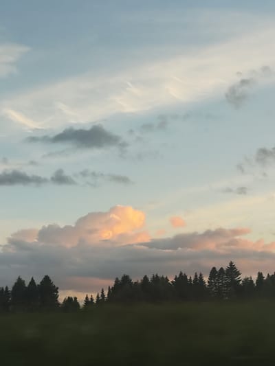 The image depicts a serene natural landscape, likely taken from a vehicle, with a focus on the sky and a treeline. In the foreground, a blurred expanse of dark green foliage suggests a field or meadow. Behind this, a dense, silhouetted treeline of coniferous trees stretches across the horizon, with some taller trees forming a more distinct outline.

The sky is the dominant element, occupying the majority of the frame. It transitions from a pale blue at the top to lighter hues towards the horizon. Wispy, elongated clouds with subtle hints of white and pale yellow are scattered across the upper portion of the sky, suggesting fair weather and perhaps the approach of dawn or dusk. Lower in the sky, more substantial cumulus clouds are visible, catching the light and displaying soft shades of pink and orange, particularly in the center of the image. These illuminated clouds contrast with darker, more diffused cloud formations in the middle ground. Tiny dark specks, possibly birds, are faintly visible against the sky.

The overall impression is one of natural beauty and tranquility. The image does not contain any people, specific buildings, or identifiable man-made objects, making it difficult to pinpoint an exact location within Chemoshur, Russia, beyond the general context of a rural or forested area. The soft lighting and atmospheric conditions suggest a time of day around sunrise or sunset.