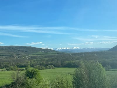 This vibrant landscape image captures a scenic view of a valley and distant mountains under a bright blue sky. The upper half of the frame is dominated by a clear, light blue sky with scattered wispy white clouds and a few small, fluffy clouds near the horizon.
In the far background, a majestic range of snow-capped mountains stretches horizontally across the view, their white peaks standing out sharply against the lighter blue sky and distant haze. Below these impressive peaks, rolling hills covered in dense green forests form the midground, interspersed with patches of vibrant green fields. Many trees in the midground and foreground display fresh, light green foliage, indicating springtime or early summer. Some trees still appear partially bare, characteristic of the season.
The foreground features more lush green fields and several trees and bushes. A large, leafy bush or tree branch is prominent on the right side of the foreground, slightly obscuring the view. The overall impression is one of natural beauty and tranquility.
The scene is brightly lit by daylight, suggesting late morning or early afternoon, with clear weather conditions. There are no people, animals, or man-made objects visible, focusing entirely on the natural environment. No visible text is present in the image. Given the location context of Stefanovo, Bulgaria, this view likely depicts the Balkan Mountains or a related mountain range in the region.