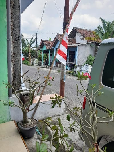 The image is taken from the street in front of a home in Kecamatan Purwoasri, Indonesia. The latitude and longitude coordinates place the location at -7.635, 112.136.  A small, red and white flag is flying from a wooden pole on the right side of the image. The flag is attached to a string, running to the left of the pole. Behind the pole is a silver van with the rear window open, parked on the edge of the road. In the background, several houses are lined up along the narrow, paved road, which is deserted, with no vehicles or people visible. Two bushes with thin, woody branches and green leaves are in the foreground. The nearest bush is in a pot on the left side of the image. The second bush is partially obscured by the parked van and extends across the right side of the image. The bushes have small, pink flowers.  The house to the right of the pole appears to be concrete, with a grey exterior and a brown tile roof. The house to the left of the pole is also grey, with a red tile roof, and has several pillars in front. The leaves of a palm tree are visible in the upper right-hand corner of the image. The sky is a light blue, with a few small white clouds.