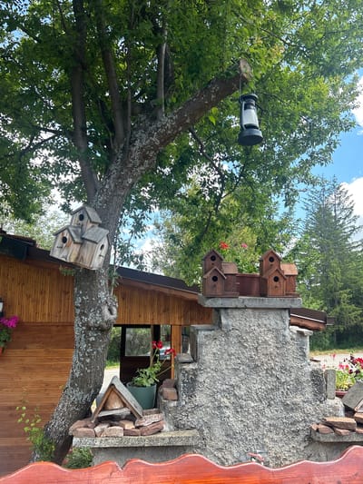The image depicts a view in Meshtitsa, Bulgaria, featuring a tree with multiple birdhouses attached to its trunk and branches. One birdhouse is mounted directly on a branch, while others are fixed to the tree trunk. A cylindrical, black and white lantern is suspended from a higher branch. Adjacent to the tree, a stone structure supports additional birdhouses. A wooden building stands next to the tree and structure. The background includes foliage and a partially visible sky.