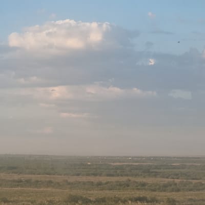 The image depicts a cloudy sky above a rural landscape, likely in Arys, Kazakhstan. The sky is filled with various types of clouds, ranging from soft, puffy white clouds illuminated by sunlight to darker, more diffused gray clouds. In the upper left portion of the sky, a small, dark object appears to be a distant aircraft or bird.
The lower portion of the image shows a field with distinct rows, suggesting it is cultivated land. The colors of the field range from green to brown, indicating possibly different crops or stages of growth. A thin, hazy mist or smoke seems to hover over the field, obscuring the horizon and some of the details. The overall lighting suggests it could be late afternoon or early morning, with diffused sunlight filtering through the clouds. The scene evokes a sense of calm and open space. There is no visible text in the image.