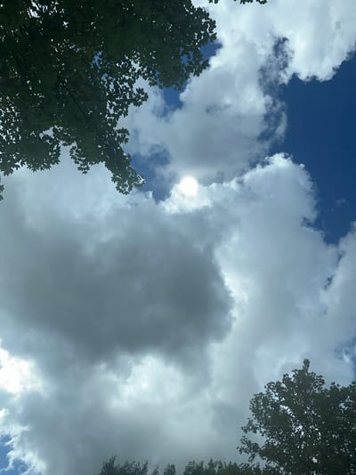The image presents an upward view of a daytime sky, partially obscured by tree foliage on the left and right edges of the frame. The sky features a mix of bright blue patches and numerous clouds of varying density and color. Large, fluffy white clouds are prominent, alongside areas of darker, grey clouds. The sun is visible as a bright, circular, almost luminous spot peeking through a gap in the clouds in the center-left area of the image. The tree leaves appear dark green, silhouetted against the brighter sky, suggesting a dense canopy typical of deciduous trees in warmer seasons. There are no people, explicit objects, or visible text in the scene. The overall impression is that of a natural outdoor environment with dynamic cloud formations, likely captured on a sunny but partially overcast day in Fulda, Germany.