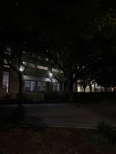 A night scene presents a dark road lined with low-lying plants on the right. On the left, buildings illuminated by lights peer through the darkness and bare tree branches. The buildings appear to have multiple stories with windows, and some are equipped with security bars. The darkness obscures the detail, making shapes and outlines more apparent than precise features.