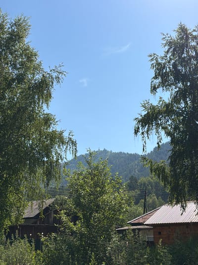 The image depicts a rural scene with dense greenery and mountainous terrain under a clear blue sky. In the foreground, large birch trees with drooping branches frame the view on either side. To the left, a section of a wooden structure with a weathered, corrugated roof is visible, partially obscured by foliage. To the right, a wooden house with a corrugated metal roof and wooden siding is prominent, also surrounded by lush vegetation. In the middle ground, the silhouette of a forested mountain range stretches across the horizon, with a small red cross visible atop the mountain on the left. Power lines and a utility pole are discernable against the backdrop of the trees. The overall impression is one of a serene, natural landscape with modest human habitation. The scene is devoid of any people or animals. This image is representative of the natural beauty found in and around Uznezya, Russia.