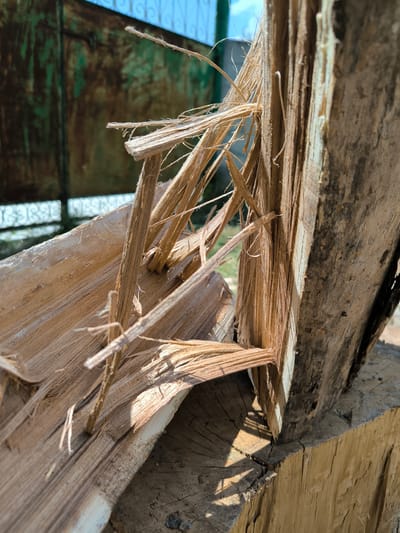 The image showcases a close-up view of splintered wood, likely from a tree trunk or large branch, outdoors. The wood is a light brown color, with prominent grain patterns and rough, fibrous textures where it has been split or broken. Several long, thin splinters extend from the main pieces of wood, creating a sense of raw, natural fragmentation.

In the background, a rusty, weathered metal gate with decorative elements is visible, painted in muted green and brown tones. The gate suggests an outdoor setting, possibly a yard or property boundary. Beyond the gate, a bright blue sky with some clouds is apparent, indicating daylight conditions. The lighting suggests it is daytime, with sunlight casting distinct shadows on the wood, highlighting its texture and depth. The overall scene evokes a rustic, somewhat rugged atmosphere, with a focus on the natural material of the wood. There is no visible text in the image. The location context is Mileștii Mici, Moldova.