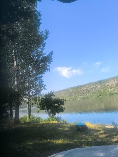The image depicts a serene lakeside scene in Molovata Nouă, Moldova. In the foreground, a grassy area is visible, with a tree stump painted teal occupying the right side. Beyond the grass, a body of calm water stretches out, reflecting the clear blue sky which is lightly streaked with wispy white clouds. A steep, tree-covered hillside forms the backdrop, rising from the opposite bank of the water. Several tall trees with dense foliage are prominent on the left side of the image, casting shadows on the ground. The overall environment suggests a natural, outdoor setting by the water, possibly a park or recreational area, on a sunny day.
