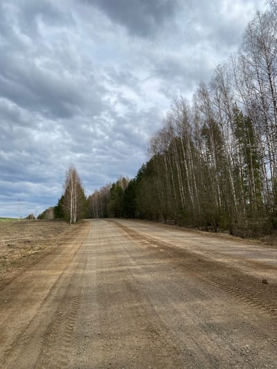 The image depicts a dirt road stretching into the distance. The road appears to be unpaved, with visible tire tracks. On one side of the road is a dense forest, comprised primarily of birch trees. The trees are bare of leaves, suggesting a late fall or early spring season. Overcast skies with heavy clouds fill the majority of the frame. Based on the query, the location is presumed to be in the vicinity of Nekrasovo, Russia.