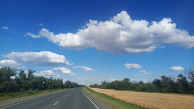 The image depicts a highway in a rural setting under a bright blue sky with scattered white clouds. The road, asphalt with white lane markings, curves gently to the left. To the left of the road, a dense line of green trees and bushes forms a natural barrier. To the right of the road, a vast field of golden-brown wheat stretches towards the horizon, suggesting a harvest season. A single car is visible on the road in the distance. The scene conveys a sense of open space and a journey through the countryside. The time of day appears to be daytime, with clear weather. The location cues, such as the wheat field and the type of vegetation, along with the provided location context of Золотая Степь, Russia, suggest a rural agricultural landscape. No people are clearly visible in the image, and there is no visible text.