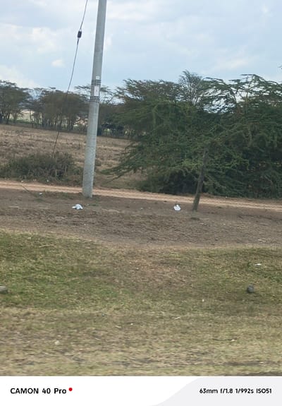 The image displays an outdoor, semi-arid landscape within Kitengela ward, Kenya, under a cloudy sky. A grey utility pole stands slightly left of the image center, extending vertically and featuring a single black wire and two white labels, one displaying a red 'X' symbol. The foreground consists of patchy dry green and brown grass with scattered small stones. The mid-ground is primarily bare, reddish-brown earth with an unpaved dirt path curving slightly from left to right. Two pieces of crumpled white litter are visible on the dirt, one near the base of the utility pole and another further right, near a sparse green bush. A larger, dense green tree occupies the right side of the mid-ground, while a horizon line of smaller, scattered trees with green canopies and visible trunks stretches across the background. No individuals, animals, or vehicles are present.