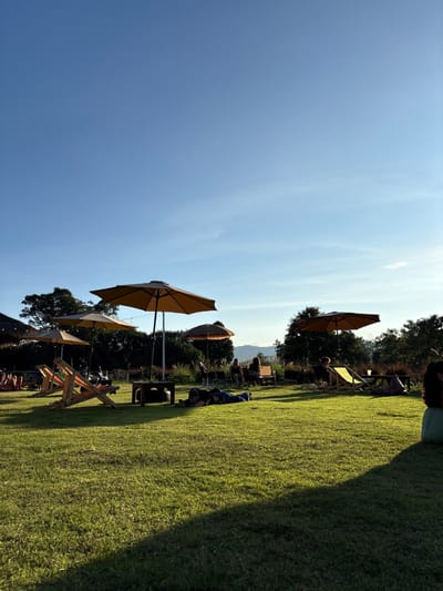 This image captures an outdoor leisure area within Ban Mae Ping, Thailand. The scene is dominated by a neatly manicured green grass lawn, illuminated by late afternoon sunlight which casts elongated shadows. The sky overhead is clear and blue with minimal, faint cloud streaks.
Several large, beige or tan-colored patio umbrellas are deployed across the lawn, providing shade. In the central mid-ground, one individual is lying prone on the grass, wearing dark clothing, positioned near a small, dark-stained wooden coffee table. To their immediate left, two empty wooden-framed lounge chairs with light-colored fabric seats are angled. Further back, approximately eight other individuals are visible, mostly seated in additional lounge chairs or on benches, dispersed throughout the grassy area, generally appearing in relaxed postures. A light blue beanbag chair is partially visible in the far right foreground.
The background consists of dense green foliage from trees and distant mountains or hills under a bright horizon line. A partial thatched-roof structure and visible string lights are present on the far left of the scene. The overall environment suggests a recreational or relaxation setting.