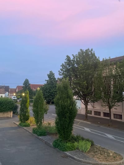 The image captures a view of a street in Gerstheim, France, at dusk. The sky displays a gradient of soft pink and blue hues. In the foreground, a paved area leads to a sidewalk lined with several tall, slender trees and low-lying green bushes. Beyond the sidewalk, a road with white lane markings is visible. On the right side of the road, a multi-story building with many windows and a reddish-brown roof is present. Across the street, there are houses with traditional architecture, featuring exposed wooden beams and red tile roofs. A few streetlights are illuminated, casting a warm glow. Vehicles, including a white van and a car, are parked or driving on the street in the distance. The overall scene depicts a quiet evening in a residential or semi-commercial area.
