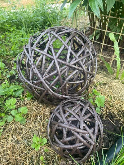 This is a medium shot, eye-level, outdoor photograph of two decorative woven balls on the ground. The larger ball is in the upper left portion of the frame, and the smaller ball is in the lower right. Both balls are brown and appear to be made of a woven plastic or resin material. The surfaces of the balls are covered in small water droplets, suggesting recent rain.
The balls are situated on a bed of dry straw or mulch, with patches of dark soil visible underneath. Small green plants are growing around the mulch. In the background, to the left, is lush green grass and foliage. To the right, behind the larger ball, are the thick, dark stems of a plant and a yellow mesh fence. The lighting suggests it is daytime, possibly overcast due to the even illumination and lack of strong shadows.
There are no people, animals, or any indication of the city of Aropakkuzi, Russia.
