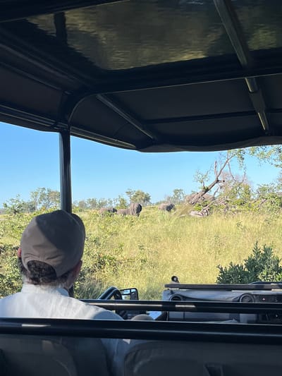 The image, taken from inside a safari vehicle, captures a view of the landscape in Khwai, Botswana. Through the vehicle's window, a grassy plain extends under a bright blue sky. A cluster of trees punctuates the landscape, with what appears to be a group of elephants grazing among them. Inside the vehicle, a person wearing a light-colored cap and a white shirt is visible in the foreground, suggesting they are on a safari tour. The framing of the image is dominated by the vehicle's metal frame, partially obscuring the view, and it is oriented sideways.