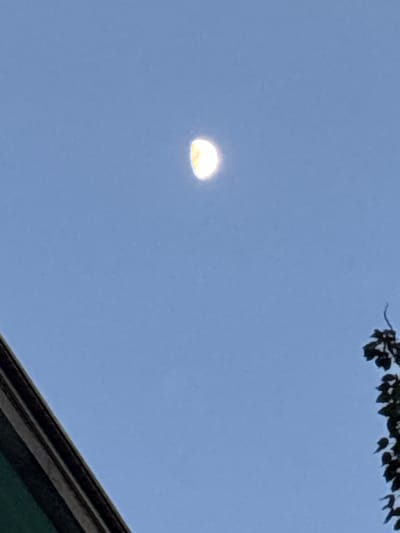 The image shows a clear, light blue sky with a crescent moon visible in the upper left quadrant. The moon is a bright, glowing disc with a distinct crescent shape, indicating it is not a full moon. In the upper right corner of the image, a dark silhouette of tree leaves is visible against the sky, suggesting the presence of a tree. The bottom right portion of the image features the corner of a dark-colored roof, possibly from a building, with a hint of green visible beneath it. The overall scene appears to be an outdoor setting during the daytime, likely late afternoon or early evening, given the brightness of the sky and the visibility of the moon. The absence of shadows or harsh lighting suggests it is not midday. No people or specific activities are depicted, and there is no visible text in the image. The setting hints at a residential or natural environment, possibly in Coslada, Spain, as indicated by the location context. The image conveys a sense of calm and twilight.