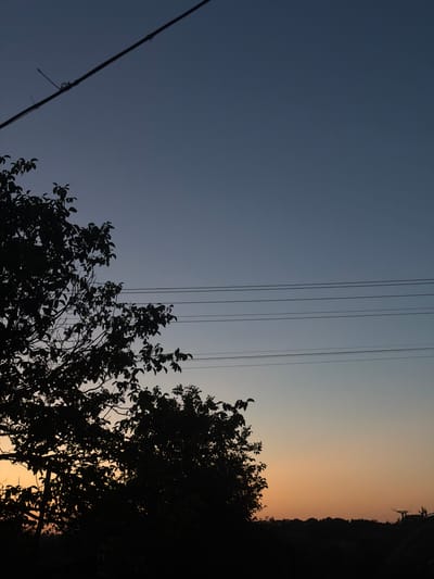 This is a vertical, medium-shot photograph of a twilight sky over Novosilka, Ukraine. The upper portion of the image is a deep, dark blue, transitioning to a pale, light blue and then a warm, peachy orange towards the horizon. Silhouetted against the sky are the tops of several trees with dense foliage and branches. A thin, dark power line stretches diagonally across the upper right quadrant of the image. More power lines are visible horizontally in the middle ground. The lower section of the image is almost entirely silhouetted, showing the dark shapes of trees and a treeline, with faint details of what might be a fence or structure on the far right. The overall mood is tranquil and serene.