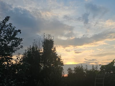 The image depicts a dusky sky over Kamen-na-Obi, Russia, with silhouetted trees in the foreground. The clouds are tinged with orange and yellow from the setting sun, creating a warm glow against the cooler blue of the upper sky. The trees are dense and dark, with visible branches and leaves, suggesting a natural or garden setting. A white, arch-shaped trellis or garden structure is partially visible on the right side of the frame, adding a man-made element to the scene. No people are present, and no actions or interactions are occurring. The overall atmosphere is serene and tranquil, characteristic of a peaceful evening in a rural or suburban area.
