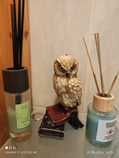 The image depicts a still life composition on a glass surface, likely a shelf or tabletop, with a tiled wall and a wooden panel in the background. The scene includes two reed diffusers, one with green liquid and black reeds on the left, and another with blue-green liquid and light brown reeds on the right. A small decorative owl figurine, perched on a red and black book-shaped object, is positioned between the two diffusers. The owl is detailed with white and beige coloring and prominent yellow eyes. The left diffuser has a label that reads "SPA moments" and "ORIENTAL HERBS & MUSK". The right diffuser has a label with hazard symbols and text indicating "e 100 ml". The overall setting appears to be an indoor domestic environment, possibly a bathroom or living area. The date and time stamp at the bottom indicates "20.06.2026 16:22" and the device "XIAOMI 11 LITE 5G NE". There is no indication of the city of Böblingen, Germany, in the image itself.
