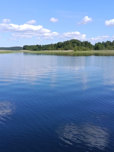 The image depicts a serene natural landscape under a bright blue sky dotted with fluffy white clouds. The foreground is dominated by a vast expanse of deep blue water, reflecting the sky and clouds, with gentle ripples disturbing the surface. In the middle ground, a shoreline is visible, lined with reeds and a dense forest of green trees stretching across the horizon. The overall impression is one of tranquility and natural beauty. The location of this scene is identified as Плюскі сельскі Савет, Belarus, suggesting a rural and possibly forested area with a significant body of water.