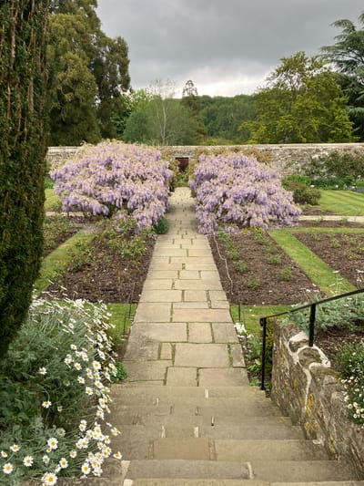 This image shows a pathway leading down a set of stone steps in a garden setting. The pathway is made of rectangular stone slabs, and is bordered by garden beds with flowering plants, including purple wisteria. The steps lead down from a stone wall with a metal railing. Beyond the garden is a landscape of trees and a cloudy sky. The image appears to be taken from a slightly elevated position. I cannot determine from the image if the location is Sevenoaks, United Kingdom.