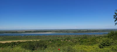 The image depicts a landscape view in Gorni Tsibar, Bulgaria. A wide, blue river stretches across the midground, bordered by sandy banks and lush, green vegetation. Beyond the river, a patchwork of fields and forests extends towards the horizon under a clear, blue sky. In the foreground, a hillside covered in vibrant green grass and vegetation rises, with scattered yellow and red wildflowers adding pops of color. Small red-roofed buildings are partially visible among the trees. The overall scene suggests a calm and rural environment.