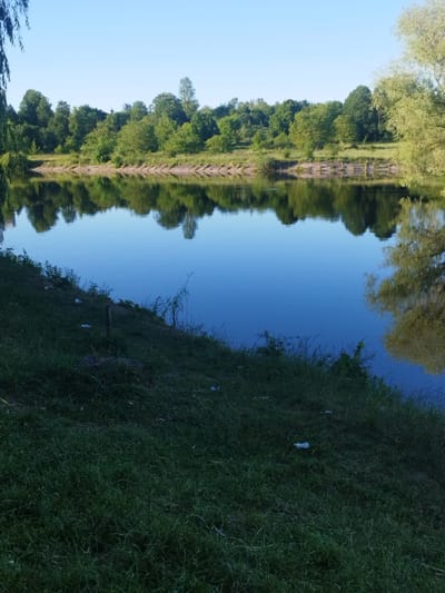 The image depicts a tranquil natural scene at the edge of a body of water, likely a river or lake, with lush green grass and trees lining the opposite bank. The water reflects the clear blue sky and the dense foliage of the trees, creating a symmetrical and peaceful composition. Some scattered pieces of white litter are visible on the grassy embankment in the foreground. The overall impression is one of a serene natural setting, possibly a park or a recreational area within the city of Novyi Rozdil, Ukraine, offering a sense of calm and escape from urban life.