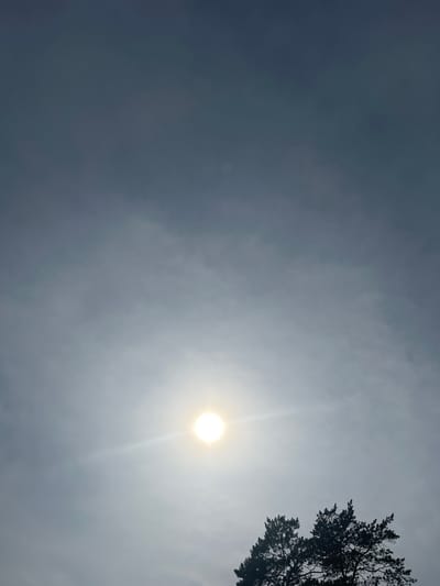 The image depicts an overcast sky with the sun visible as a bright, slightly diffused circle in the lower central portion. A silhouette of a pine tree is visible in the bottom right corner. The overall impression is one of an outdoor, natural environment. There are no people or identifiable structures present. The image has a cool color palette, dominated by grays and blues.