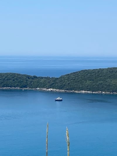 An elevated, wide shot captures a bright, clear day with a vast expanse of blue sky above a tranquil blue sea. In the mid-ground, a lush green island slopes down to a rocky shoreline. A white yacht is anchored in the bay to the left of the island. Further to the right and in the foreground, two tall, dried grasses stand vertically, one slightly to the left of the other, with their tips reaching towards the sky. The image appears to have been taken from a vantage point in or around Seoce, Montenegro.
