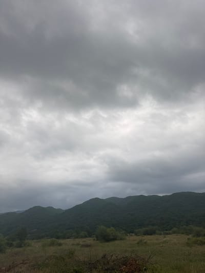 The image depicts a vast, cloudy sky over a landscape of rolling, forested hills. The foreground consists of dry grass and scattered branches. The sky is filled with a dense layer of grey clouds, with some lighter patches suggesting diffused sunlight. The hills are covered in dark green foliage, appearing lush and dense. There are no people, animals, or man-made structures visible in the scene. The environment suggests a rural, natural setting, likely in Aragvispiri, Georgia, given the context provided.