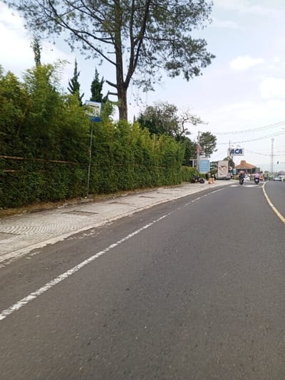 The image captures a roadside scene in Ciloto, Indonesia, during daylight hours under a partly cloudy sky. A paved sidewalk extends along the left foreground, bordered by a dense green hedge of tall shrubs. Above the hedge, a blue-and-white sign on a pole is partially visible, and several trees, including a prominent conifer, rise towards the sky. The asphalt road features a solid white line separating it from the sidewalk and a solid yellow line further right. In the midground, on the right side of the road, a large blue billboard displays "ACA ASURANSI." Adjacent to it, a building with a distinctive large, conical, thatched roof is visible, along with other structures and utility poles. On the road, two motorcycles with riders wearing helmets are in motion, traveling away from the viewer. Another motorcycle is parked on the shoulder near an orange traffic cone, with two individuals standing beside it. Distant hills are faintly visible under the sky in the background.