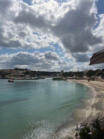 The image depicts a panoramic view of the bay in Porto Cristo, Spain, under a partially cloudy sky. The foreground features calm, turquoise-blue water with sun reflections, gently meeting a curved, sandy and pebbly beach on the right.
On the left side of the bay, a red and white lighthouse marks the entrance to a marina filled with numerous docked boats. Beyond the marina, white multi-story buildings and lush green vegetation are visible on a rising hillside. A small, dark-hulled boat with a single occupant is present in the mid-ground water.
On the right side, the beach accommodates approximately 10-15 individuals engaged in recreational activities, some wading in the shallow water, others on the sand. A distinctive green and yellow multi-hulled ferry or tour boat is positioned near the beach, facing the marina entrance. A promenade with trees and further buildings, including a prominent multi-story structure, lines the area behind the beach.
The upper right corner of the frame includes a partial view of a beige and white striped umbrella. In the immediate bottom right foreground, white and purple flowering plants grow from a rocky embankment. The sky above is characterized by large, scattered cumulus clouds with patches of bright blue visible.