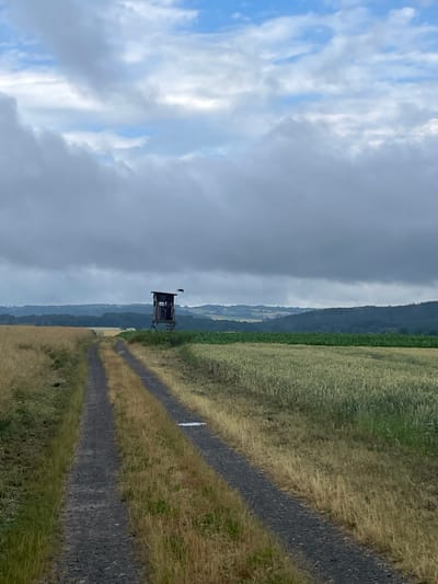 The image depicts a rural landscape in Hattendorf, Germany, under a cloudy sky. A gravel road with two tracks curves through fields. On the right side of the road, a wooden hunting blind stands on stilts, and a bird is in flight near it. The fields are a mix of golden-brown dry grass and green crops. In the distance, rolling hills covered in trees and some scattered buildings form the horizon. The overall atmosphere is overcast and subdued.