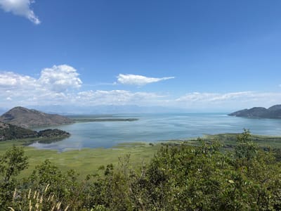 This is an aerial landscape photograph of Skadar Lake, located in Kruševica, Montenegro. The image captures a wide vista of the lake under a clear blue sky dotted with white clouds. In the foreground, dense green foliage and dry grasses frame the scene. The middle ground reveals a vast expanse of water, with patches of vibrant green lily pads and reeds creating a mosaic on the lake's surface. Several small islands covered in trees dot the water, and a few white boats are visible. The background features rolling, tree-covered hills and mountains that fade into the distance, meeting the horizon. The water appears calm and reflects the blue of the sky and the green of the surrounding vegetation.