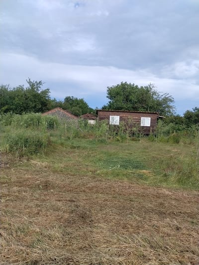 This media file captures a rural landscape in Roza, Bulgaria, under a partially cloudy daytime sky. The scene features old buildings surrounded by dense, overgrown vegetation and dry grass.

In the mid-ground, a rustic, dark-wooden building or shed is prominently visible. It has a weathered appearance with dark brown planks and features two white-framed windows on its side, one above the other. This building is partially enveloped by green trees and tall weeds, suggesting it might be disused or well-integrated into the natural surroundings.

To the right of the wooden structure, the ground is covered by extensive patches of dry, brownish-yellow grass, indicating a parched field or an unmaintained area. Interspersed with the dry grass are smaller areas of greener foliage and various wild plants. Further into the background and to the left, another building's red-tiled roof is partially visible, mostly obscured by a cluster of tall, leafy green trees and more overgrown grass. The entire area around the structures is characterized by abundant natural growth, giving the impression of an isolated or neglected rural setting.

The upper left portion of the image reveals a light blue sky with scattered, soft white clouds, suggesting a bright but partially overcast day. No people or animals are present, and there is no discernible activity taking place. The atmosphere is one of quietude and natural overgrowth. There is no visible text in the image.