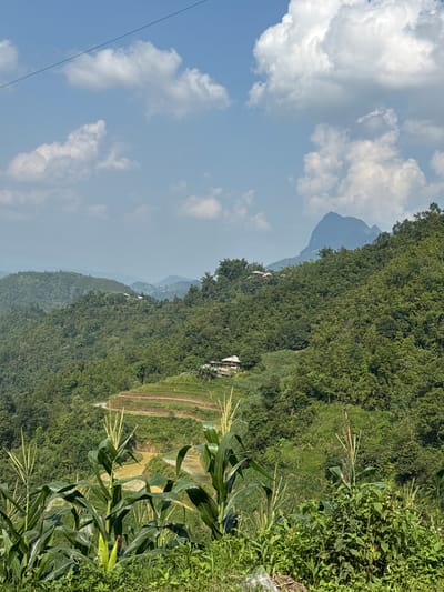 The image depicts a landscape in Mậu Duệ Commune, Vietnam. A mountain range is visible in the background, with lush green vegetation covering the slopes. In the foreground, corn plants grow on the right-hand side. Terraced fields are carved into the hillside. The sky is partly cloudy, with blue patches. Power lines run across the top left portion of the image. A building or house is visible among the trees.