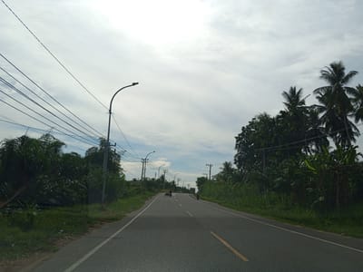 The scene depicts a straight asphalt road in Payabeunyot, Indonesia, extending into the distance under an overcast sky. The sky is predominantly light grey with white cloud cover, showing some brighter areas and a faint blue hue in the upper left.
On the left side of the road, a grassy shoulder transitions into dense tropical vegetation comprising various leafy trees and shrubs. Multiple dark grey utility poles are present, supporting a complex network of black electrical wires that traverse the upper left quadrant of the frame. A prominent black streetlight fixture with a curved arm extends from one of the utility poles towards the road in the mid-ground. Further down, another similar streetlight is visible.
The right side of the road also features a grassy shoulder bordering dense, tall tropical foliage, including numerous palm trees and banana plants, forming a green wall that extends along the roadside. At least two utility poles are visible among the trees on this side, also carrying electrical wires.
The road itself is a two-lane paved surface with a solid yellow line marking the center and a solid white line defining the right edge of the carriageway. The pavement exhibits a textured appearance. In the distance, two vehicles are moving away from the viewer: a person on a three-wheeled motor vehicle (possibly a motorcycle with a sidecar) on the left side of the road, and another person riding a motorcycle on the right side. A larger vehicle, possibly a truck or bus, is faintly visible further down the road on the right. The overall lighting is diffused, consistent with an overcast day.