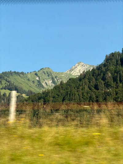 The media file depicts a vertical view of a mountainous landscape, likely in Visp, Switzerland. The image is dominated by a vast expanse of clear blue sky on the left side, suggesting it's a daytime scene with fair weather.

The right side of the image features a mountain slope covered in lush green trees, primarily coniferous. The trees form a dense forest that extends up the mountainside. Towards the summit, the vegetation thins out, revealing rocky, grey mountain faces with patches of green grass. The mountain has a rugged, natural appearance.

A portion of the image, particularly on the right, is blurred with vertical streaks of green and yellow, indicating movement during capture, possibly from a vehicle. This blur also creates a reflective effect, as if a surface like water or glass is distorting the scene. Within this blurred area, there are vertical lines that could be trees, fence posts, or other elements from the foreground. Some faint yellow vertical shapes are visible in the grassy areas, possibly markers or flowers.

The overall impression is one of natural beauty and grandeur. The sharp contrast between the clear sky, the detailed mountainside, and the blurred foreground suggests a dynamic perspective, perhaps taken from a moving train or car. There are no visible people, objects, or text in the image. The time of day appears to be daytime, given the bright sky. The location cues, such as the mountainous terrain and dense forests, are consistent with alpine regions.